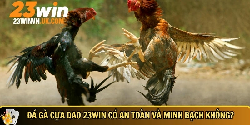 Đá gà cựa dao 23WIN là gì? Cách chơi và mẹo thắng nhanh 5 23WIN đảm bảo an toàn và minh bạch cho người chơi đá gà cựa dao