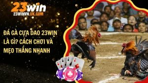 Đá gà cựa dao 23WIN là gì? Cách chơi và mẹo thắng nhanh