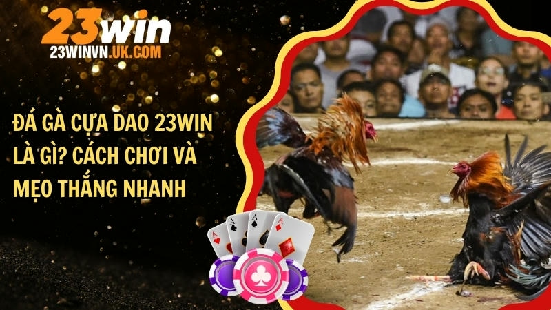 Đá gà cựa dao 23WIN là gì? Cách chơi và mẹo thắng nhanh