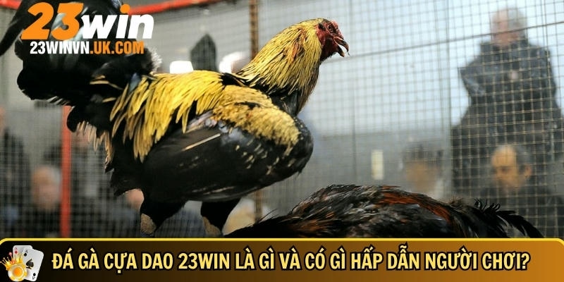 Đá gà cựa dao 23WIN là gì? Cách chơi và mẹo thắng nhanh 2 Khám phá tổng quan về đá gà cựa dao tại 23WIN