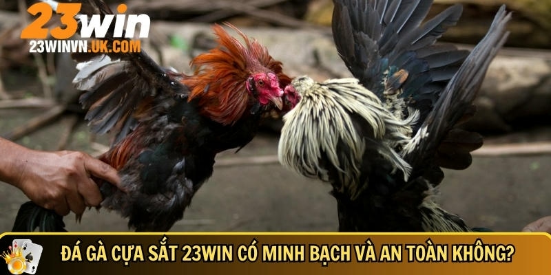 Đá gà cựa sắt 23WIN là gì? Luật chơi và mẹo cược dễ thắng 5 23WIN đảm bảo minh bạch và an toàn cho người chơi đá gà cựa sắt