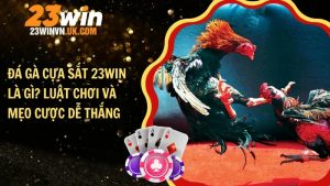 Đá gà cựa sắt 23WIN là gì? Luật chơi và mẹo cược dễ thắng
