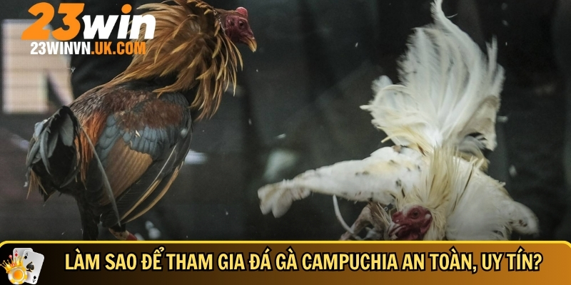 Đá gà Campuchia là gì? Cách chơi, mẹo thắng và lưu ý cần biết 3 Hướng dẫn cách tham gia đá gà Campuchia nhanh chóng
