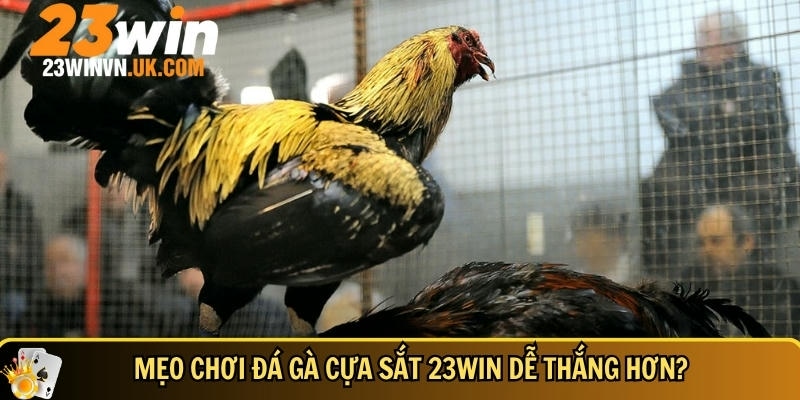 Đá gà cựa sắt 23WIN là gì? Luật chơi và mẹo cược dễ thắng 4 Mẹo và bí quyết chơi đá gà cựa sắt tại 23WIN dễ thắng