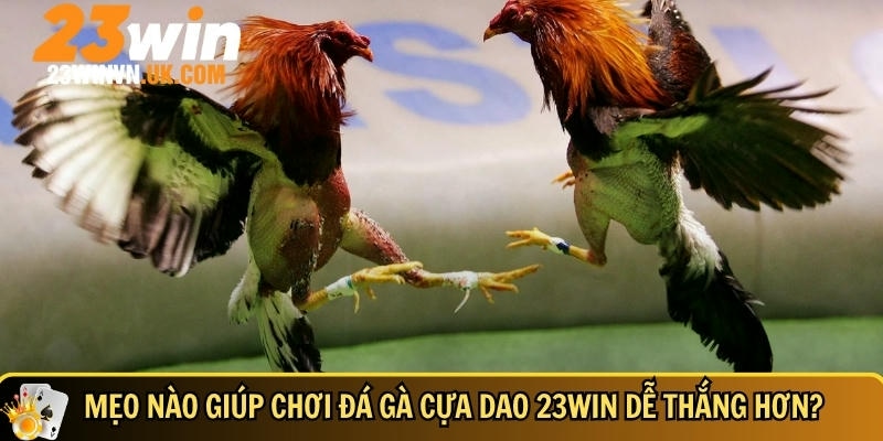 Đá gà cựa dao 23WIN là gì? Cách chơi và mẹo thắng nhanh 4 Mẹo và bí quyết choi đá gà cựa dao tại 23WIN dễ thắng