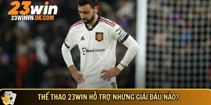 Tổng hợp các giải đấu có tại thể thao 23WIN