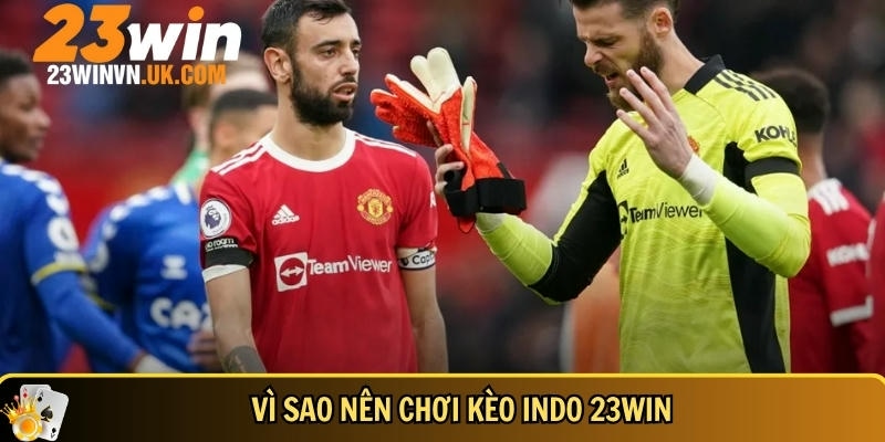 Giải mã kèo Indo 23WIN và cách tính tiền chuẩn xác 4 Lợi ích khi chơi kèo Indo tại 23WIN